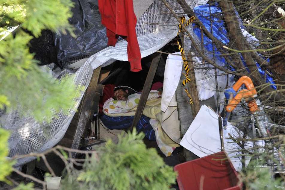 Drug addict Samuel Capes-Evan has built a shelter among the trees of a Canterbury roundabout