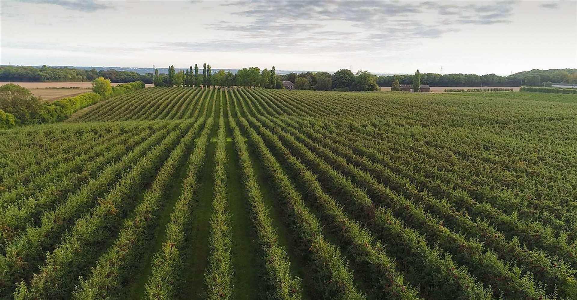 Farmland across Kent makes the county best known as the Garden of England