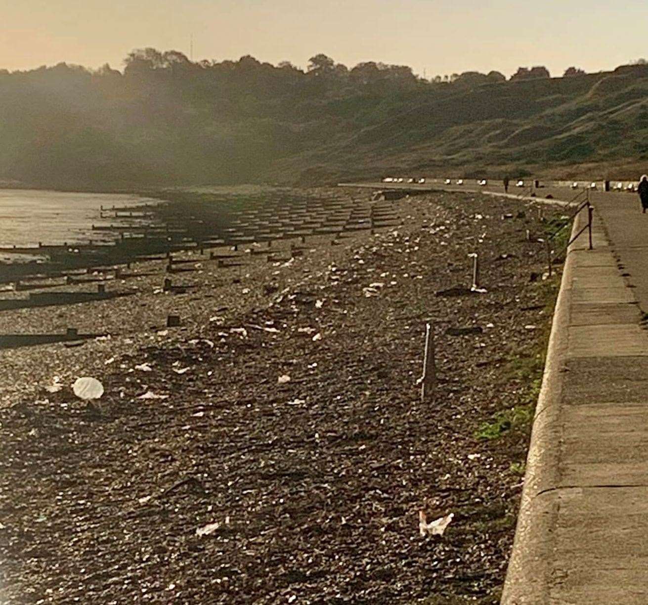 Minster Leas on Sheppey covered in rubbish. Picture: Annette Saunders