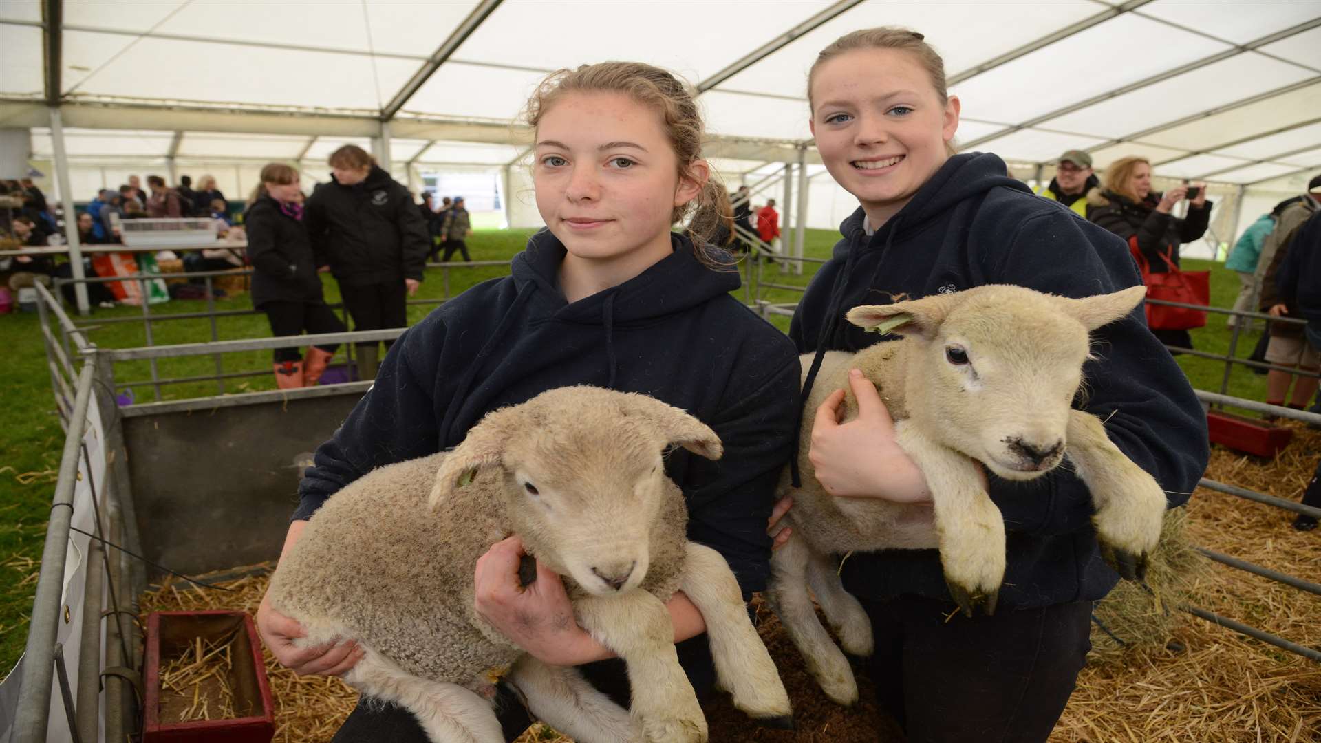 Ellie Box and Alice Thompson found some sheep