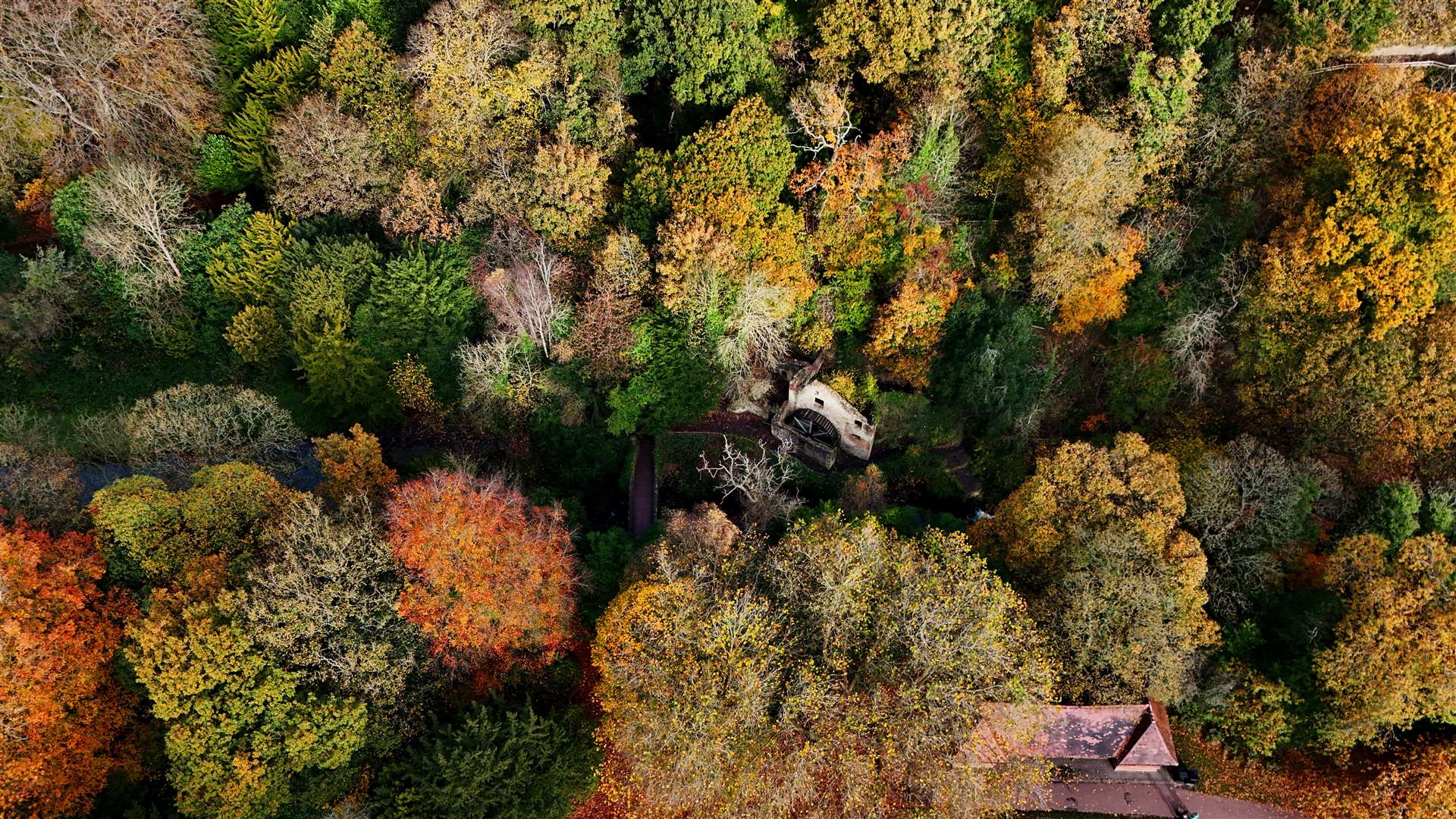 A general view of autumn colours at Jesmond Dene in Newcastle (Owen Humphreys/PA)