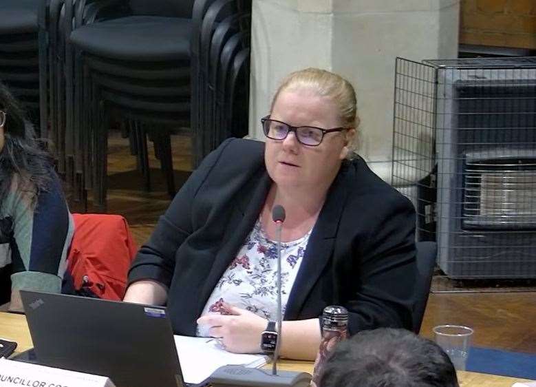 Cllr Esther Cook (Lab) said dog-walking businesses needed to be considered when introducing the rules