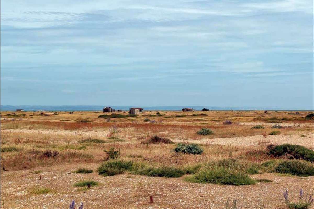Dungeness National Nature Reserve is a perfect place to take the family on a sunny day