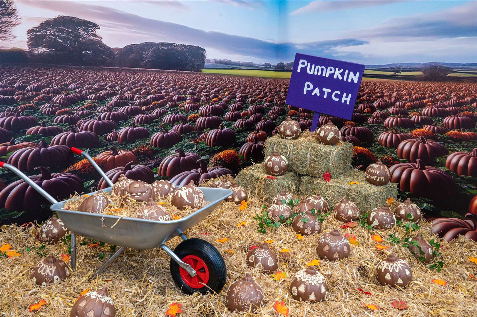 The pumpkin patch creation will be on display for visitors at the main entrance of Cadbury World in Bournville (Cadbury World/ PA)