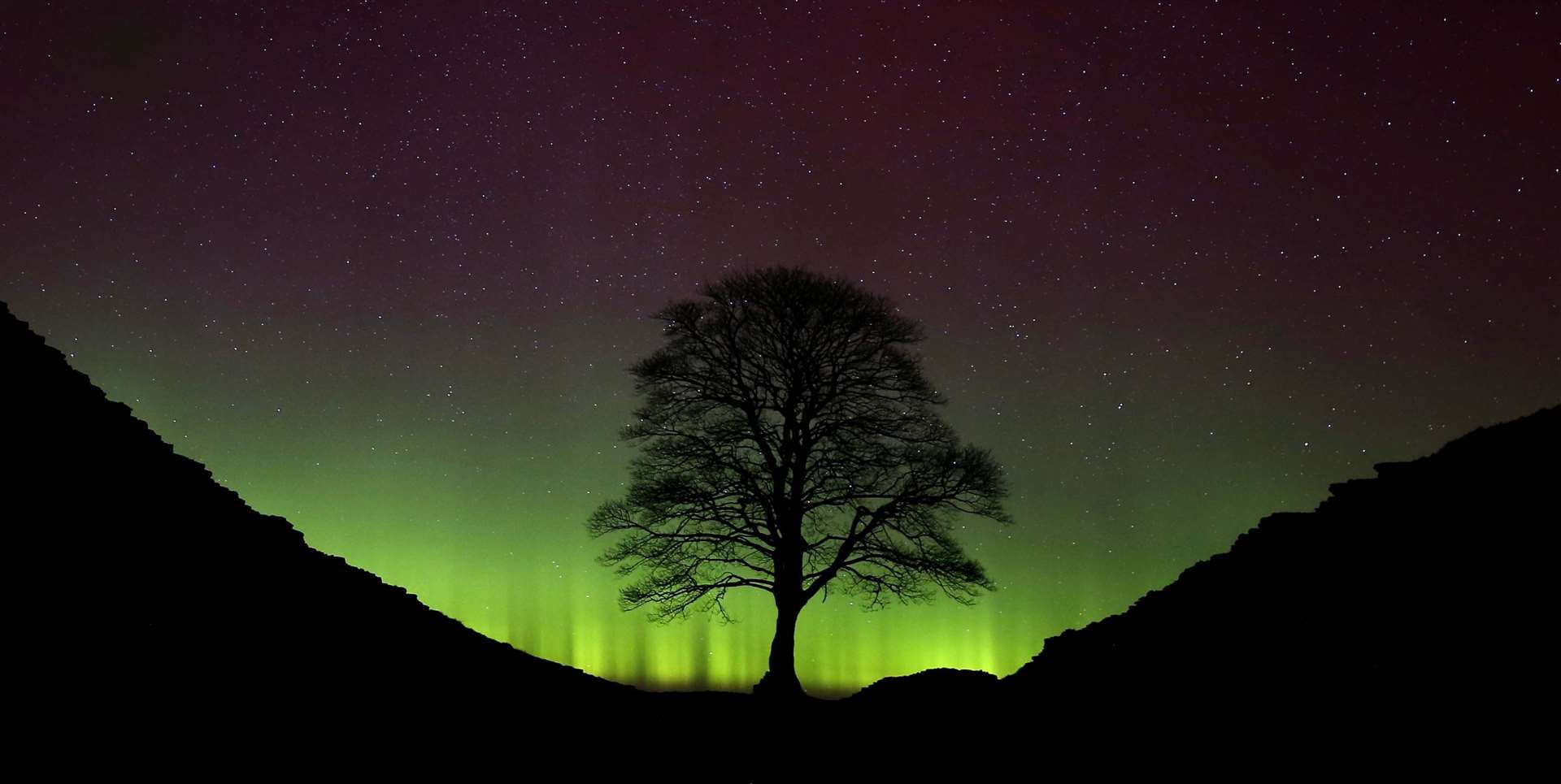 Sycamore Gap was voted as English Tree of the Year in 2016 (Owen Humphreys/PA)