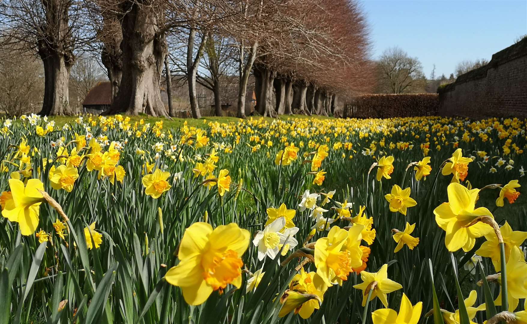 The family can enjoy crafting workshops and decorating classes at Penshurst Place. Picture: Penshurst Place