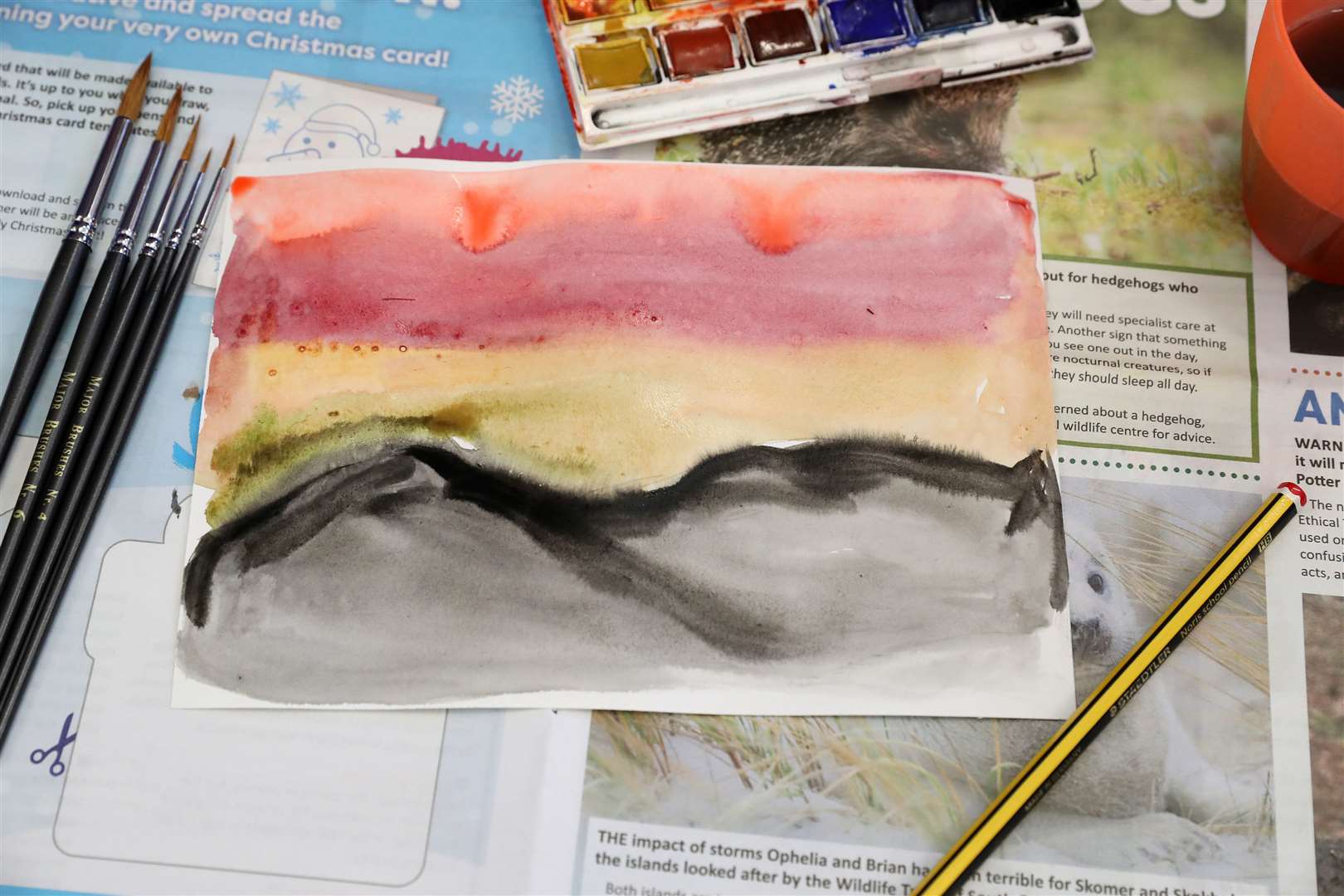 A watercolour painted by the Duchess of Cornwall during a visit to Aberdeenshire in 2018. Perhaps now is the time to take up painting while in lockdown (Andrew Milligan/PA)