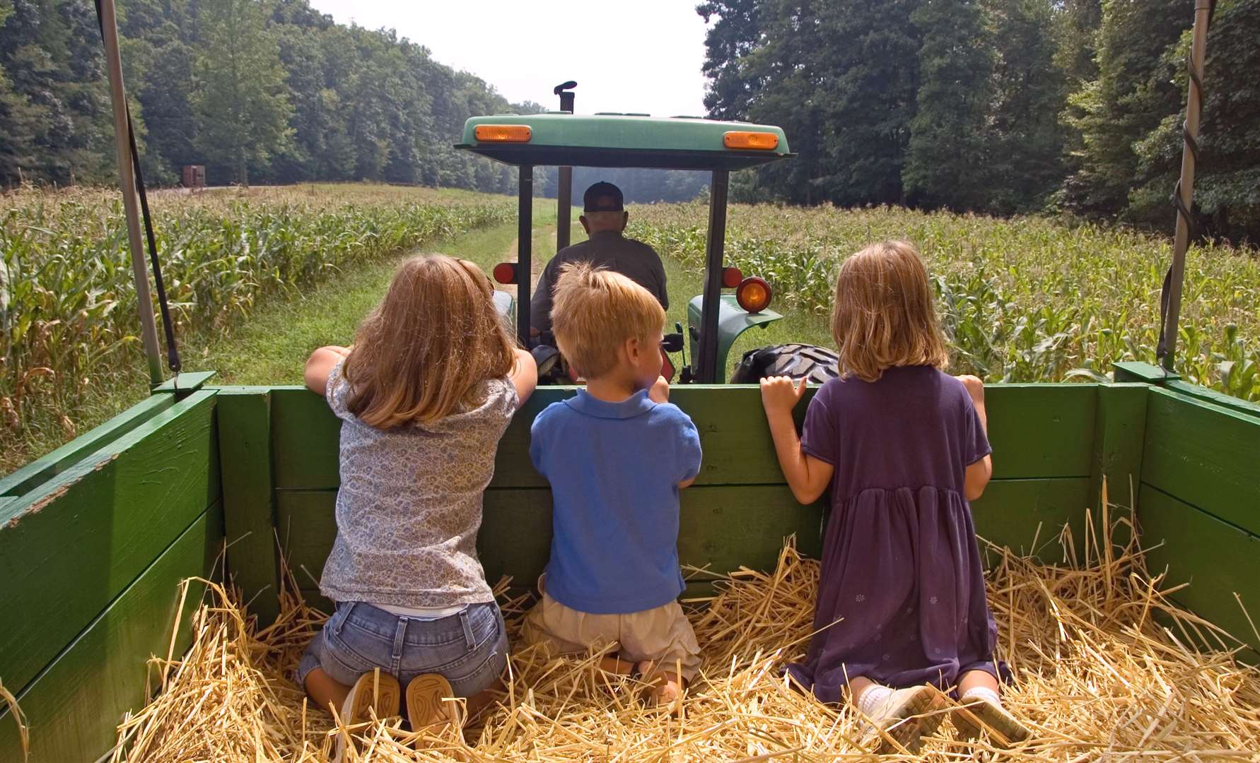 Tractor rides will be on offer