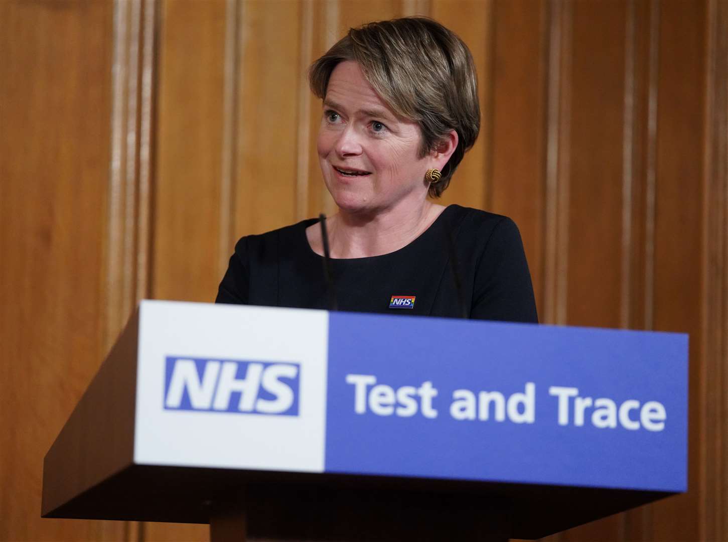 Baroness Dido Harding, head of NHS test and trace (Pippa Fowles/10 Downing Street/Crown Copyright)