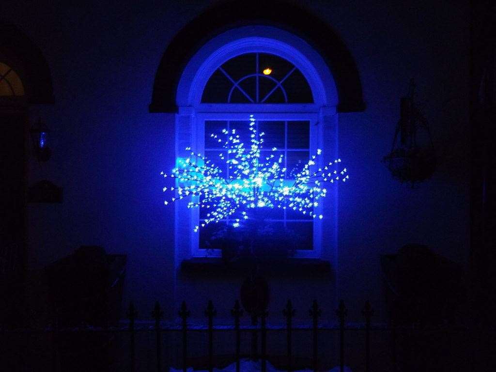 People are being urged to decorate windows with blue lights. Pic: David Anstiss