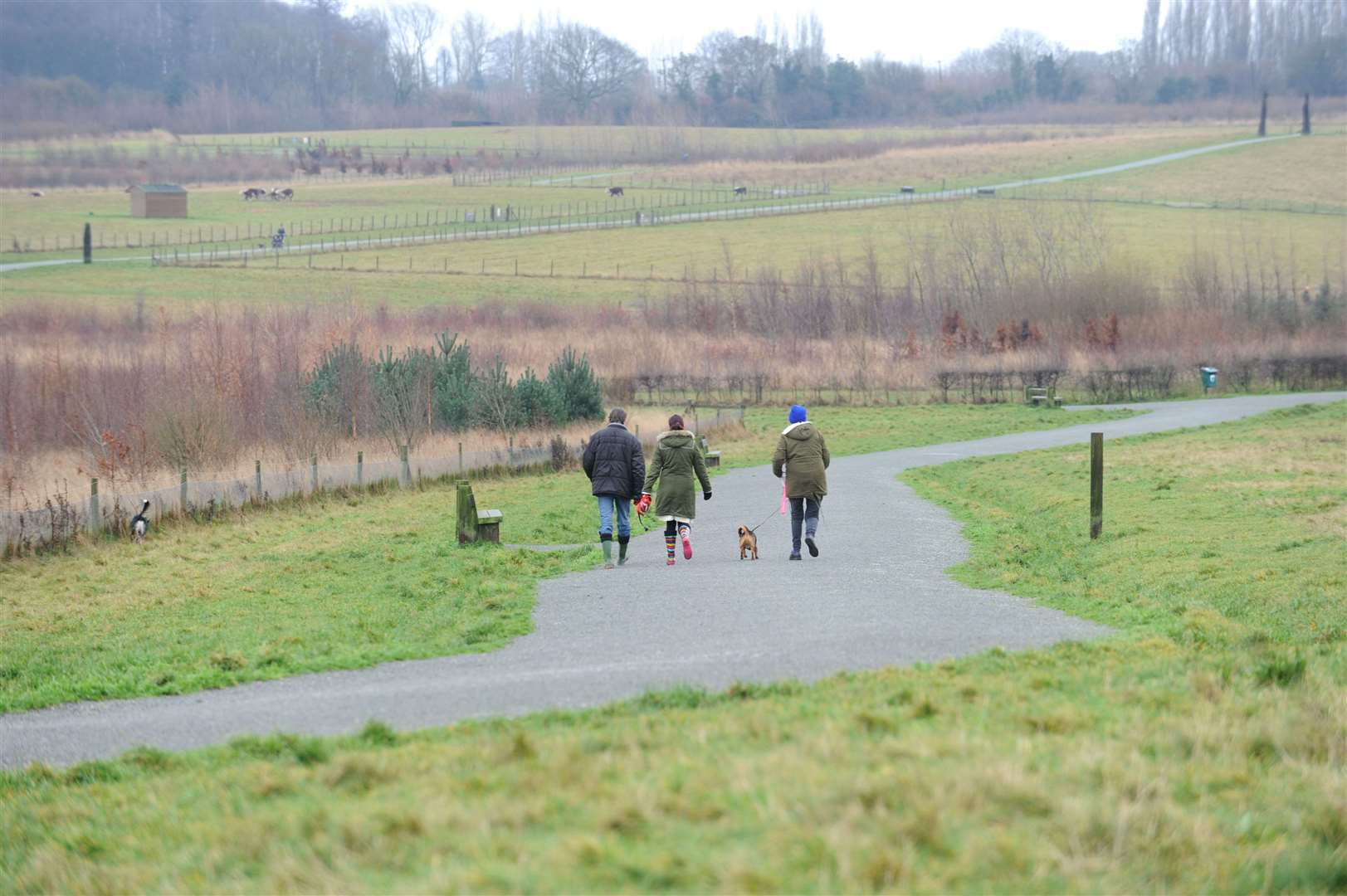 The park is popular with dog walkers