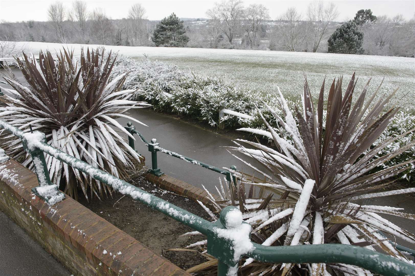 Snow is predicted to start falling as early as 1pm tomorrow