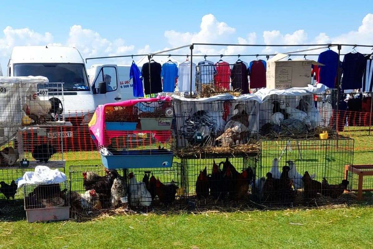 Leysdown boot fair organisers deny animal cruelty claims after