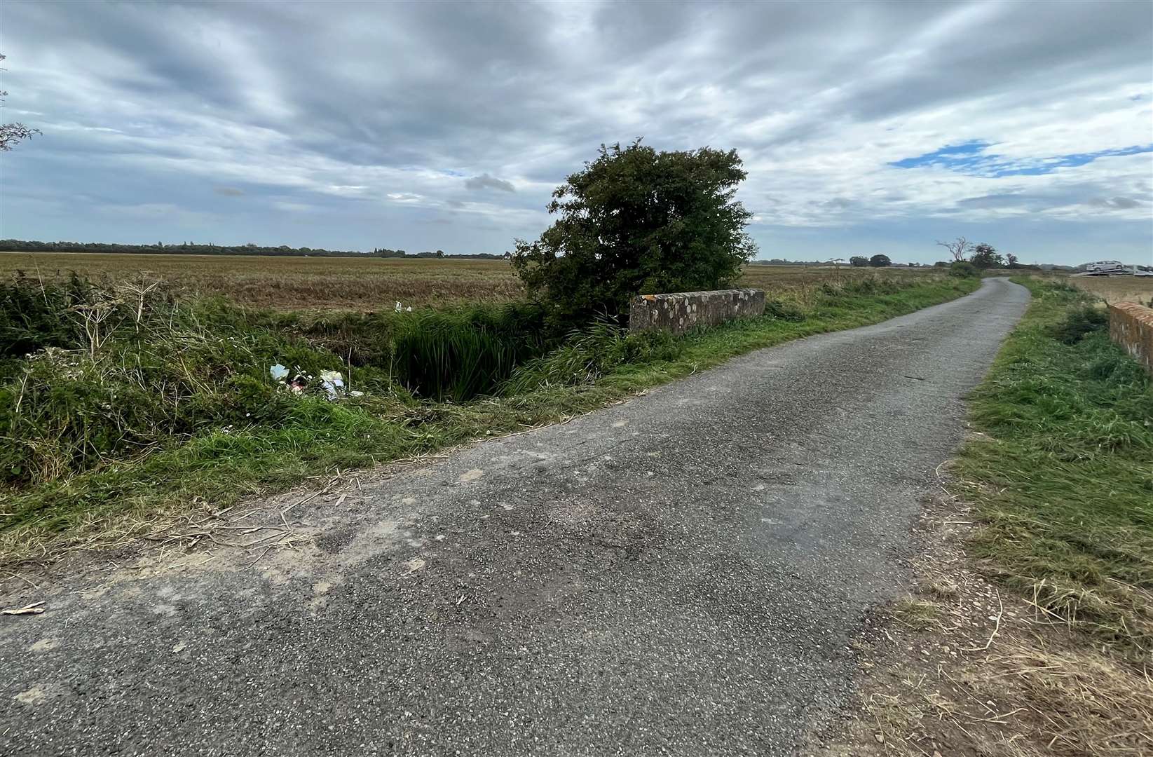 The crash happened in the early hours of Sunday near Ham Mill Lane on Romney Marsh