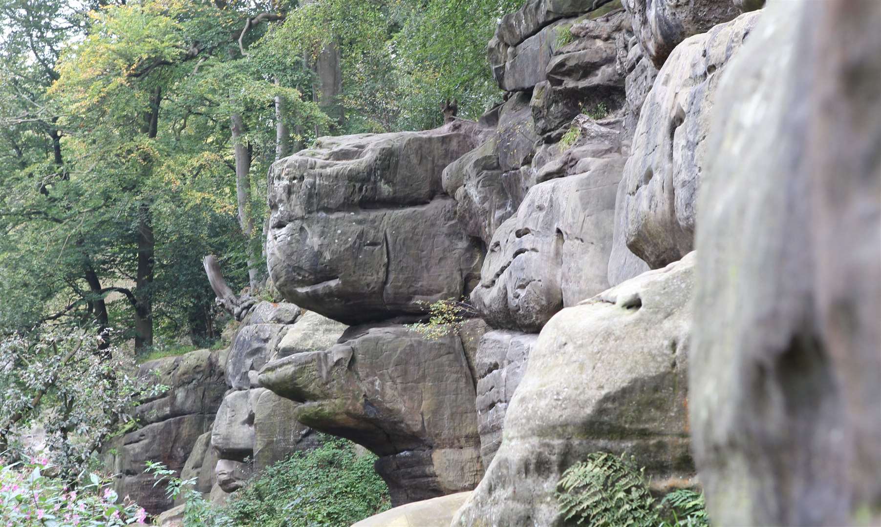 Scenes were shot at Harrison's Rocks in Groombridge. Picture: John Westhrop