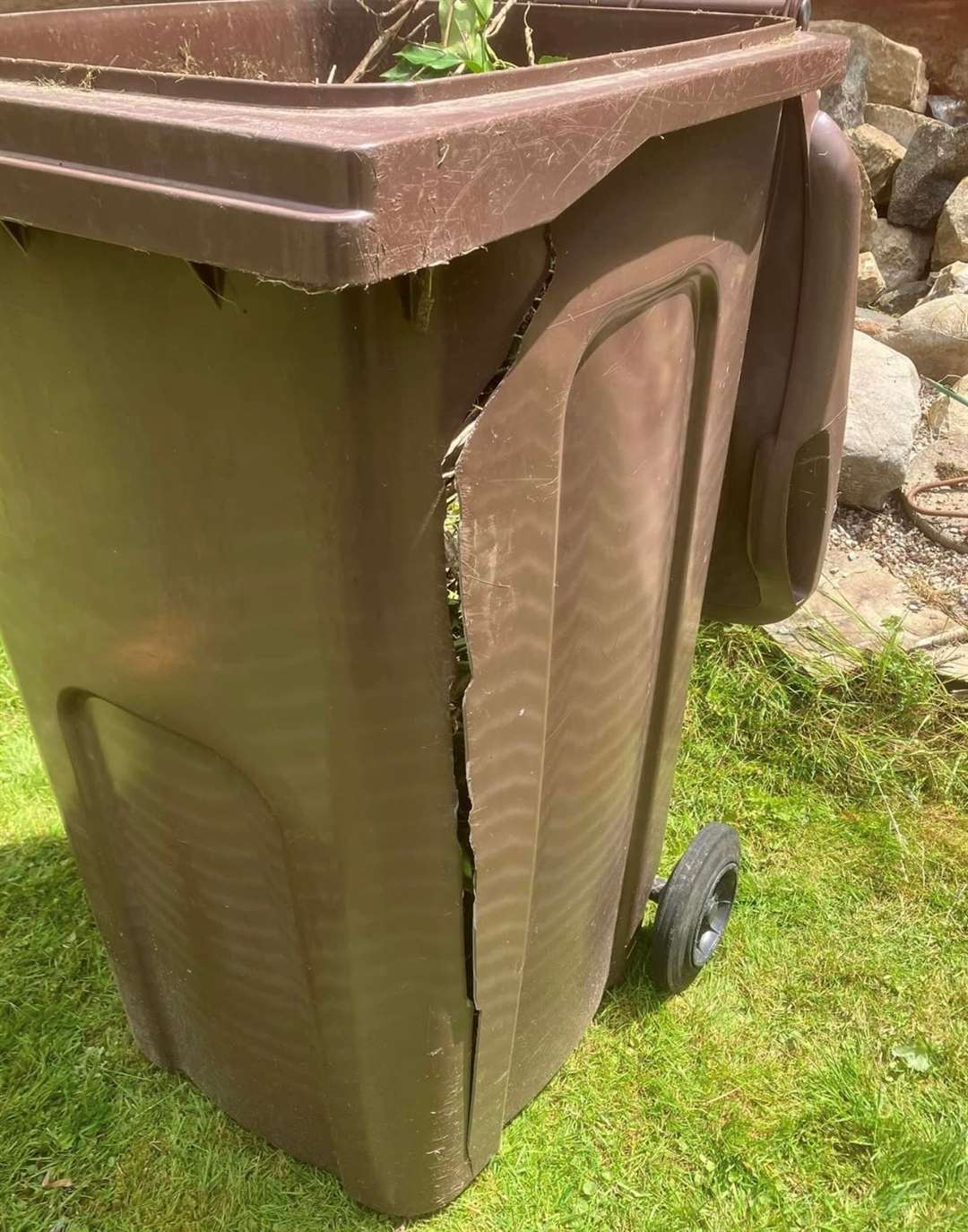 Ms Mitton says both of her brown bins have been damaged and only one has been replaced