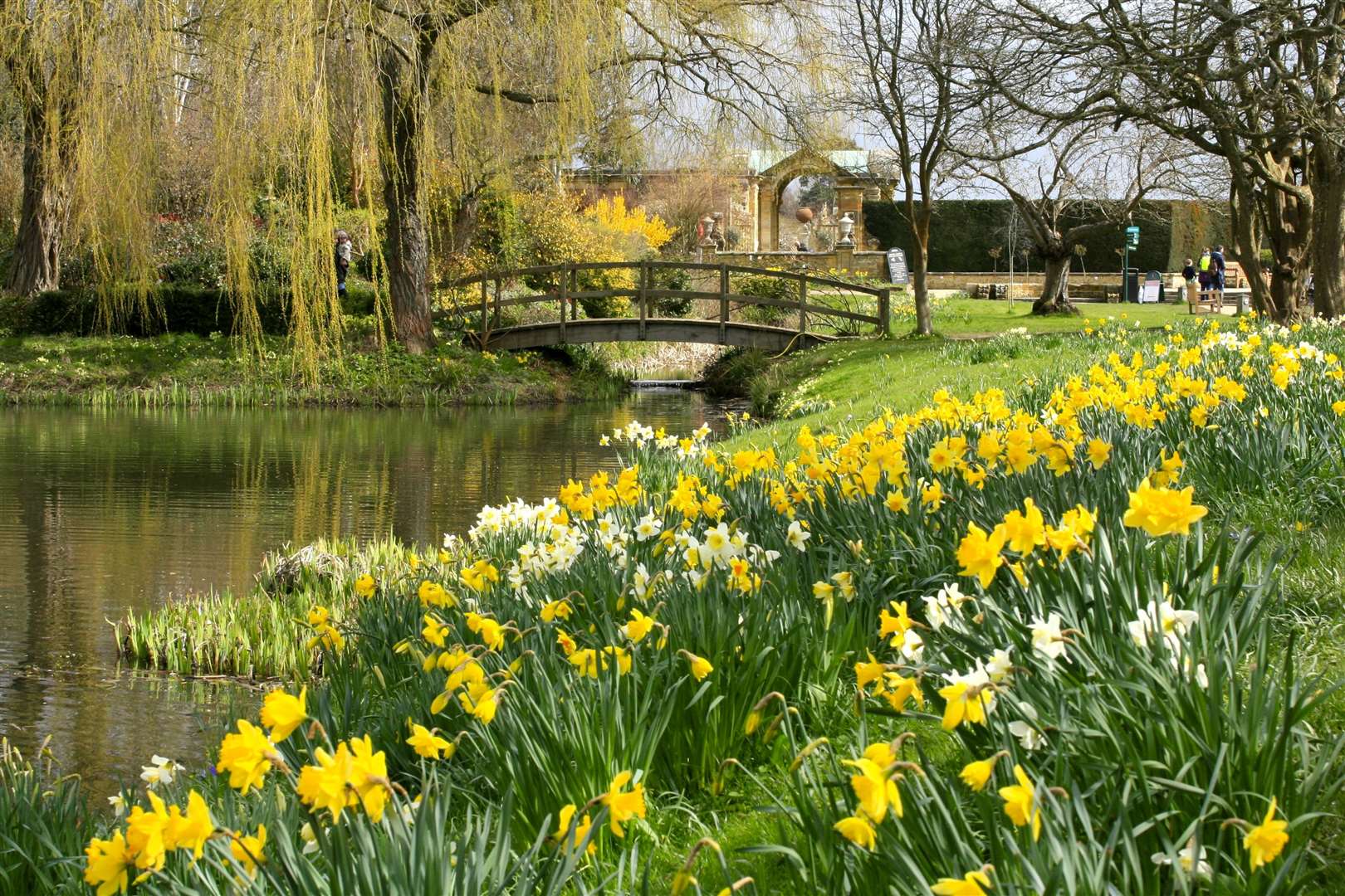 Hever's Monet bridge is awash with golds of every hue