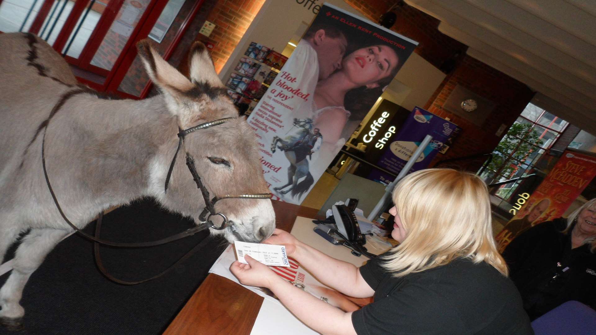 Scarlett the donkey buys her ticket to Carmen at the box office at the Assembly Hall Theatre in Tunbridge Wells