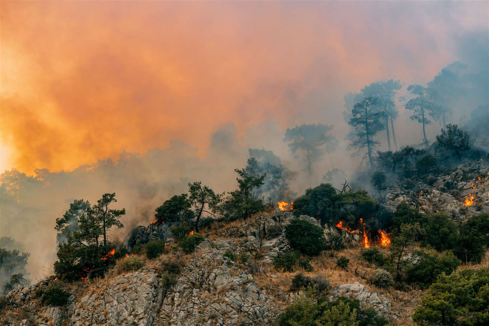 Forest fires are among events linked to global warming. Picture: iStock