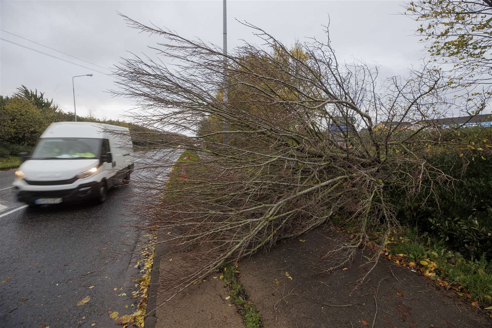 A fallen tree by the Coes Road in Dundalk, Co Louth (Liam McBurney/PA)