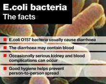 E.Coli graphic