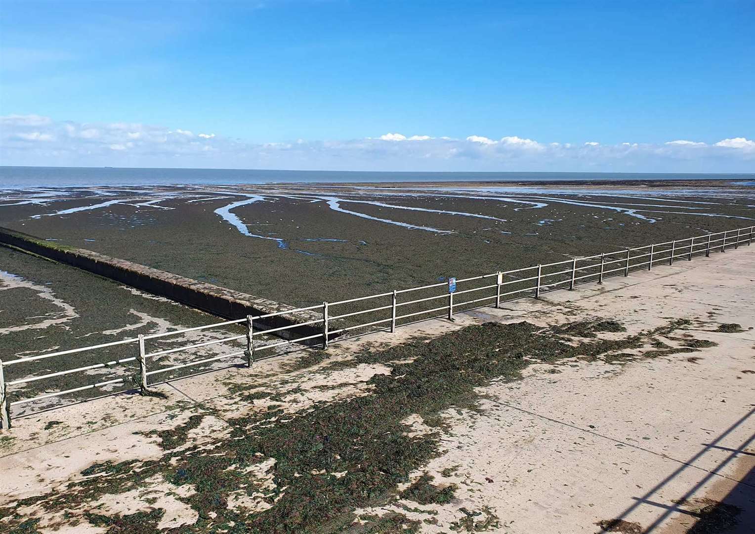 Residents of Birchington have said its the 'worst they have seen the seaweed' on Minnis Bay. Picture: Martin Clarke