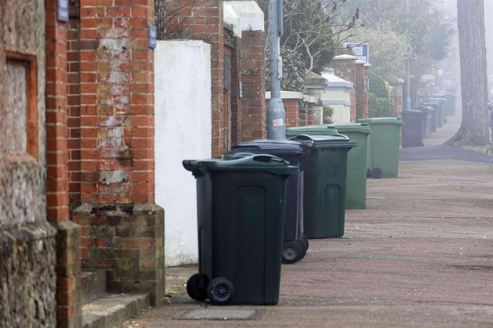 Rubbish, parking and dog fouling are among the issues many of us feel passionately about. Image: iStock.