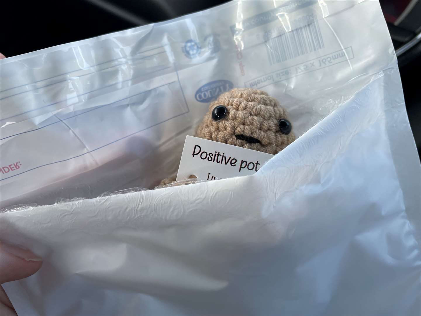 Percy the Positive Potato getting ready to be sent