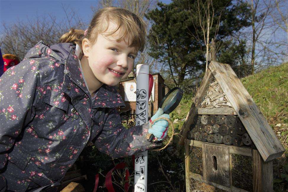 Sophie, 6, looks over another of the mini beast sanctuaries.