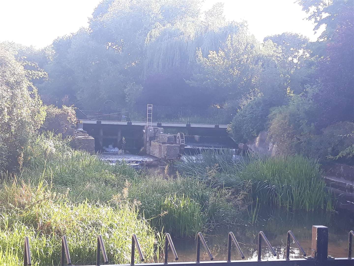 Westminster Hall section of the River Darent in Horton Kirby where chairman of DRiPs Stuart Merrylees claims the 'flow is the lowest seen in years" Photo Credit: DRiPS