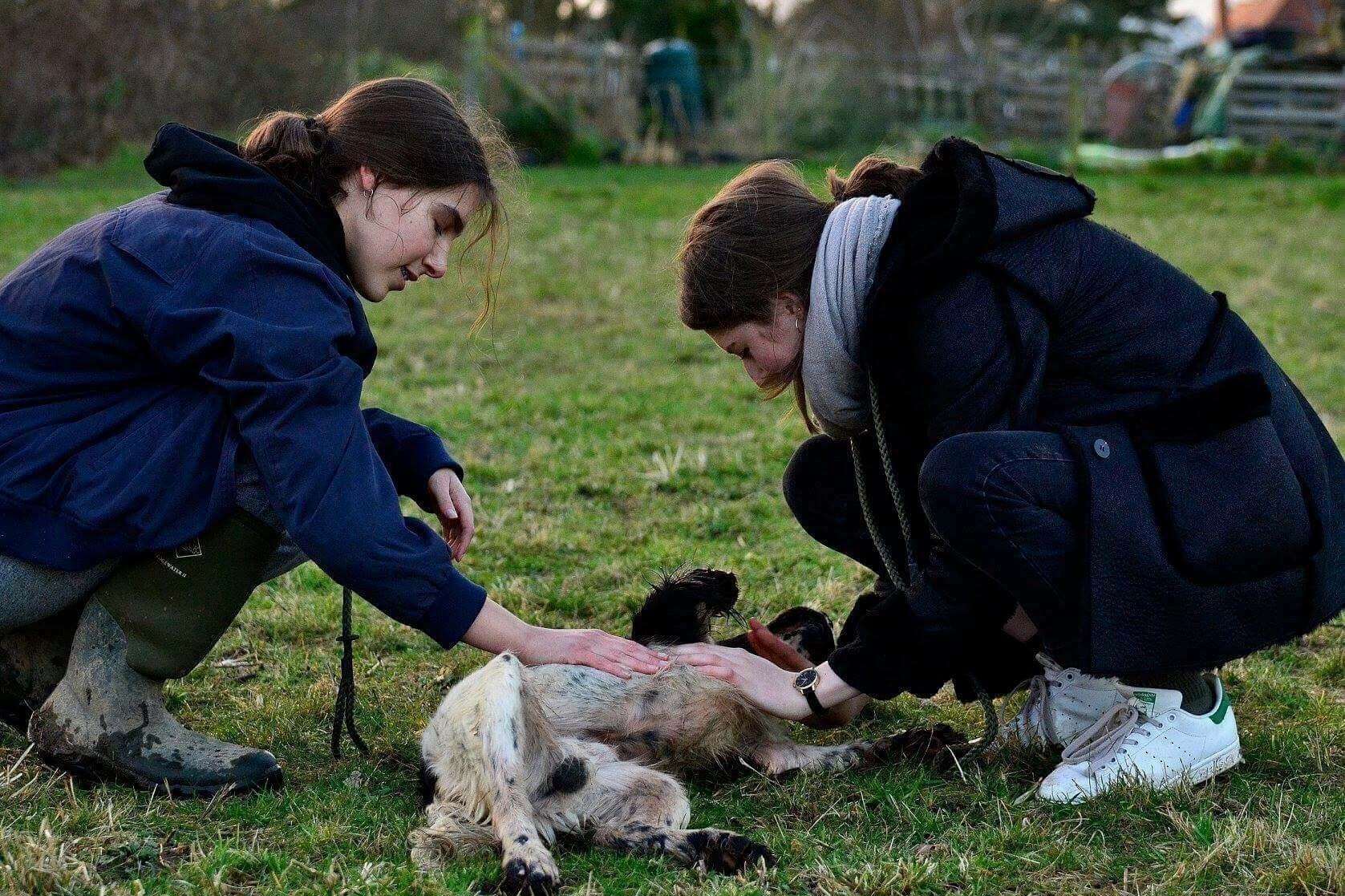 Isabelle Mousley and Julia's daughter Maggie, both 17, make a fuss of Moss