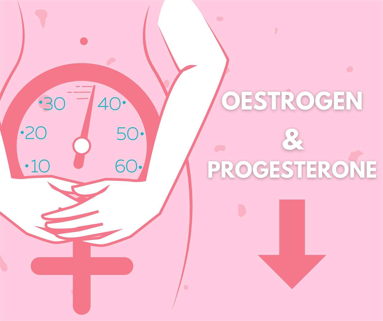 Fertility hormones decrease during the menopause