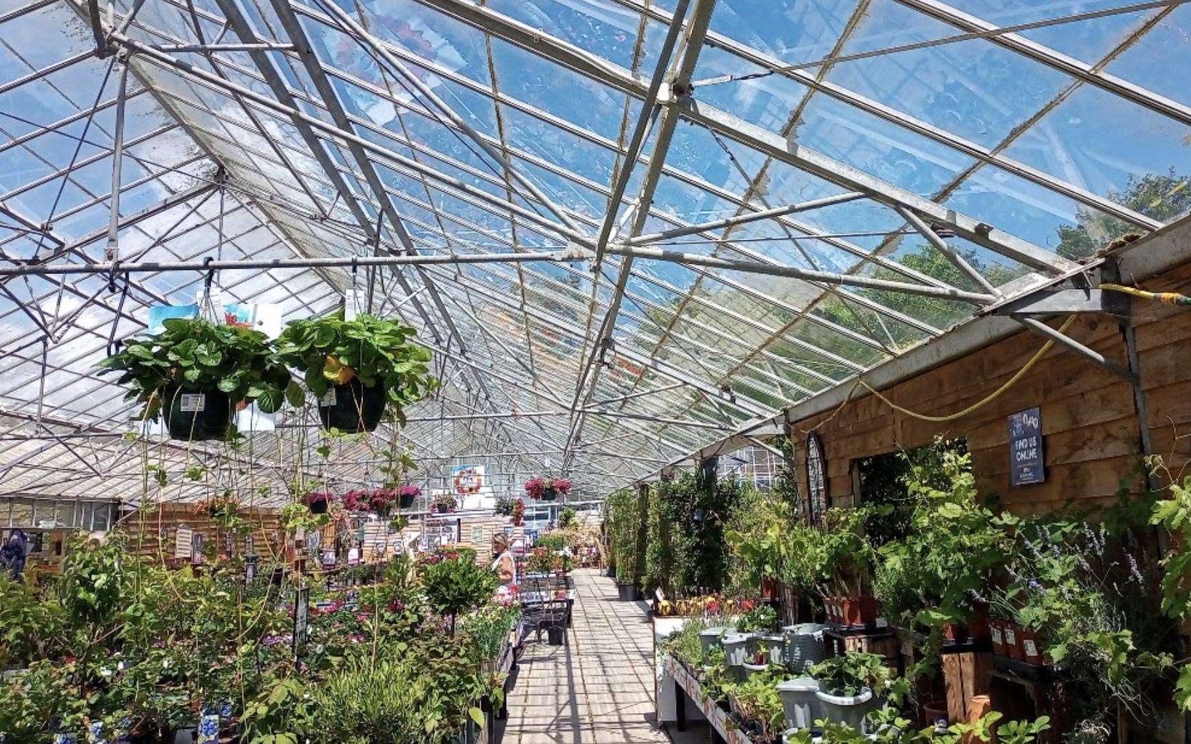 With hopes that the renovations to the sales floor and on-site restaurant will attract more customers, Grovewell Folkestone Garden Centre workforce could rise to 60. Picture: Grovewell