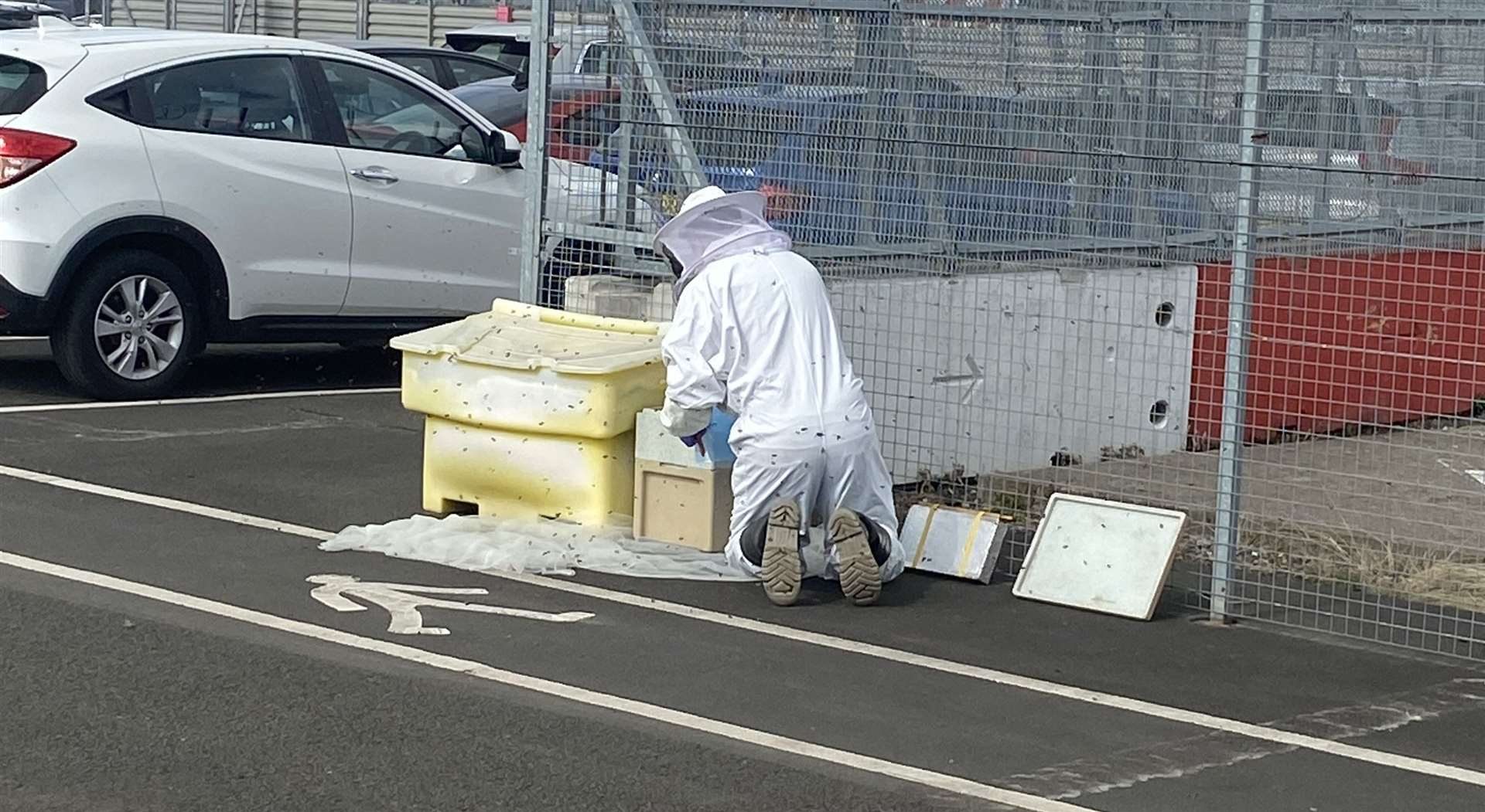 Beekeeper Stephen Readman captures a swarm and takes it to safety (Edinburgh Airport/PA Wire)