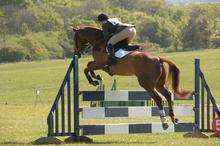 Nurstead court horse trails (May 2 2009)