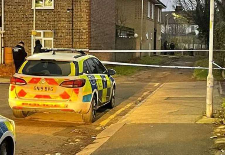 Woman helped teens launch machete attack off Grange Road, Gravesend ...