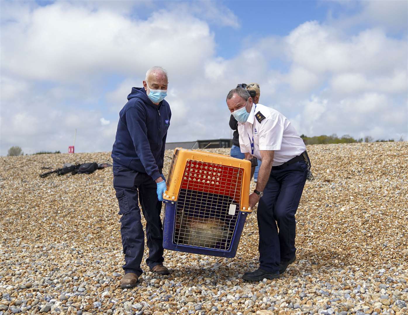 Hubble was rehabilitated at RSPCA Mallydams Wood Wildlife Centre (Steve Parsons/PA)