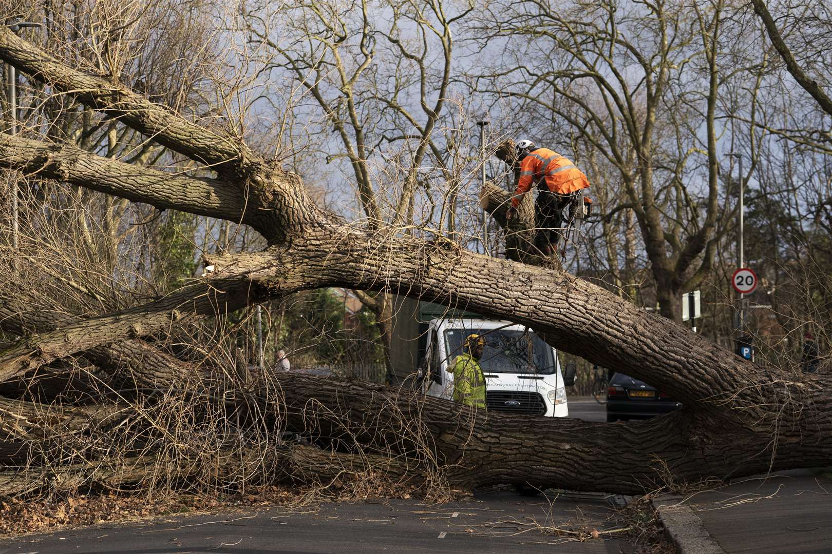 Tree surgeons work to clear a fallen tree in Spencer Park, Battersea (Kirsty O’Connor/PA)