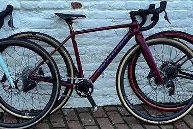 A bespoke bike with a raspberry frame was one of three bikes taken