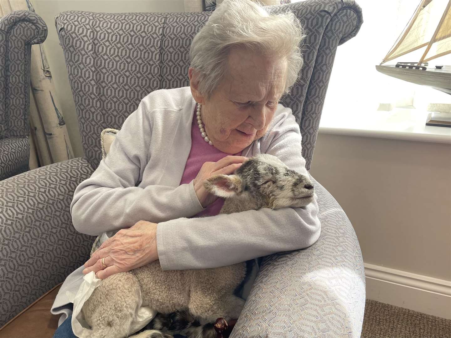 The lambs were from a farm in Postling and wore nappies around the care home. Picture: Harrier Lodge