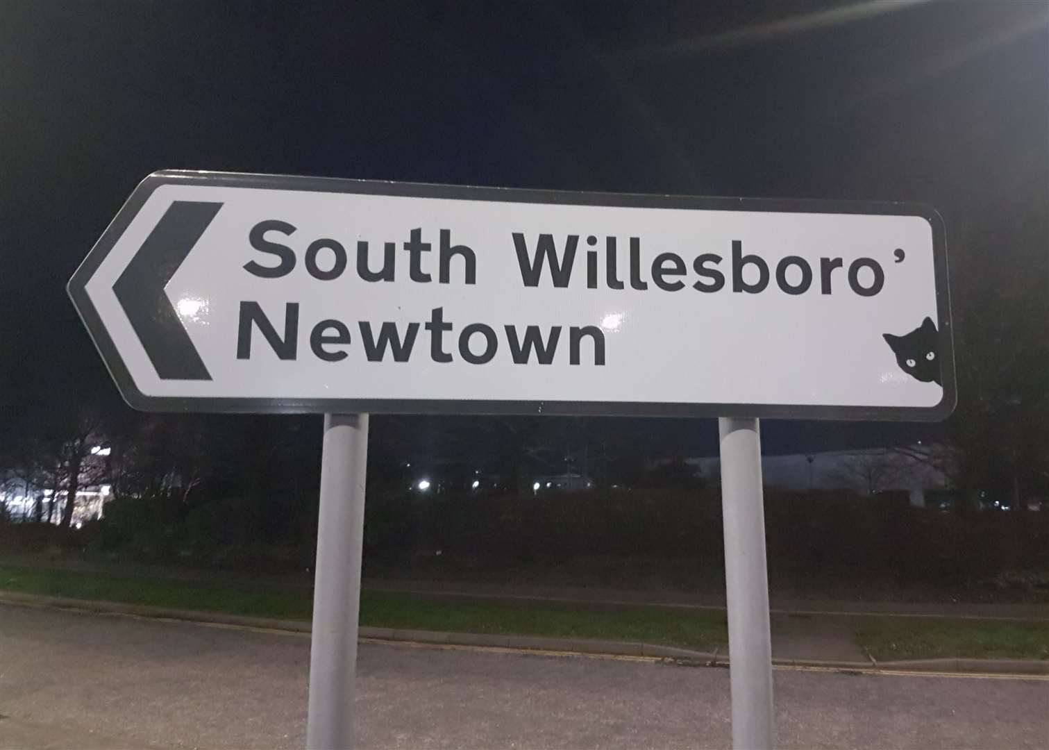 A black cat on a sign at Orbital Park on the roundabout near McDonald's, in Ashford