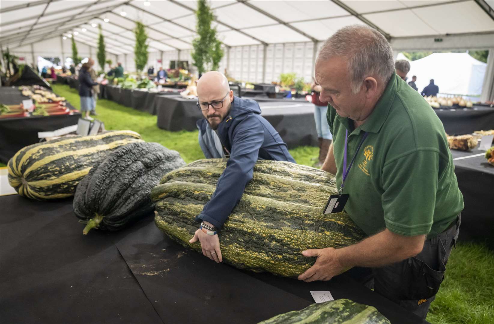 A marrow is moved as judging takes place during the giant vegetable competition at the Harrogate Autumn Flower Show (Danny Lawson/PA)