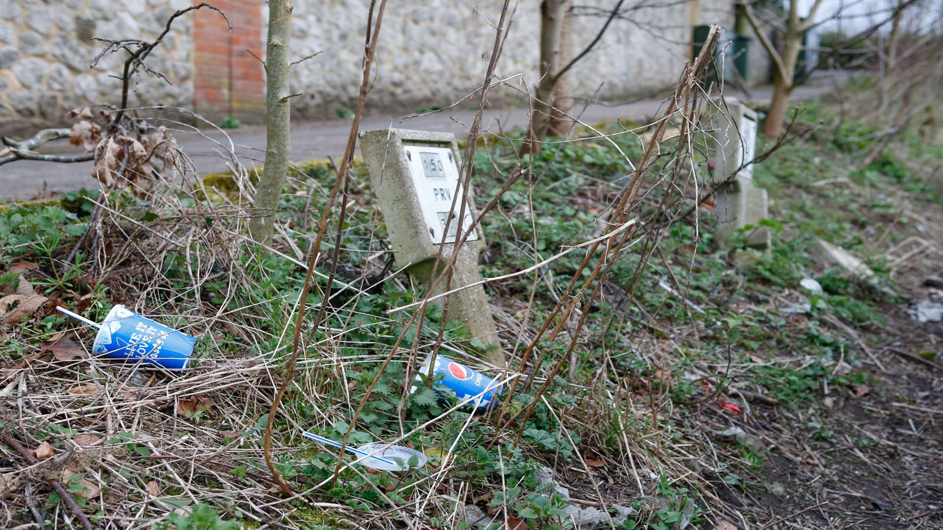 Litter like this on Sandling Road, Maidstone, is a blight on roads across the county