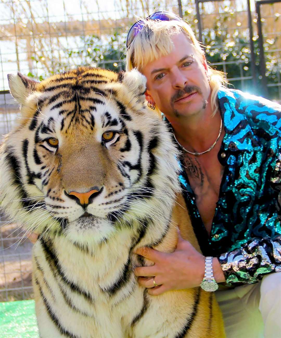 The Tiger King and I