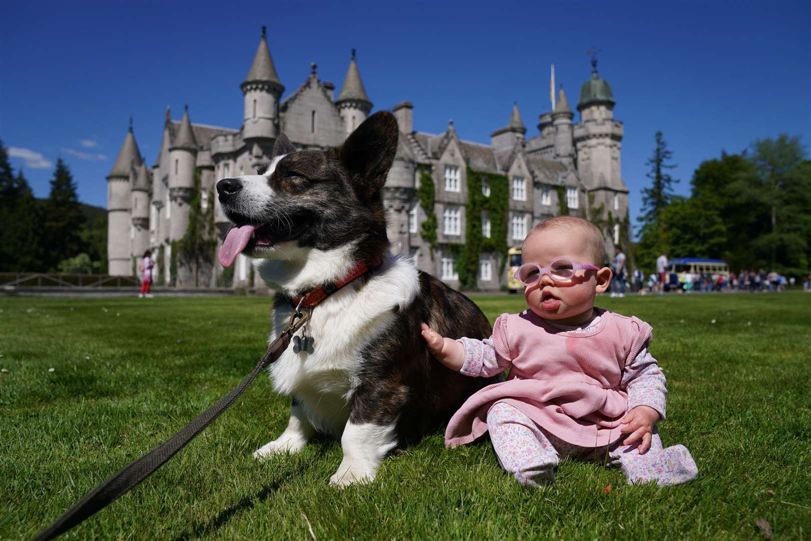 Joy Stephen, with her corgi Marvin (Andrew Milligan/PA)