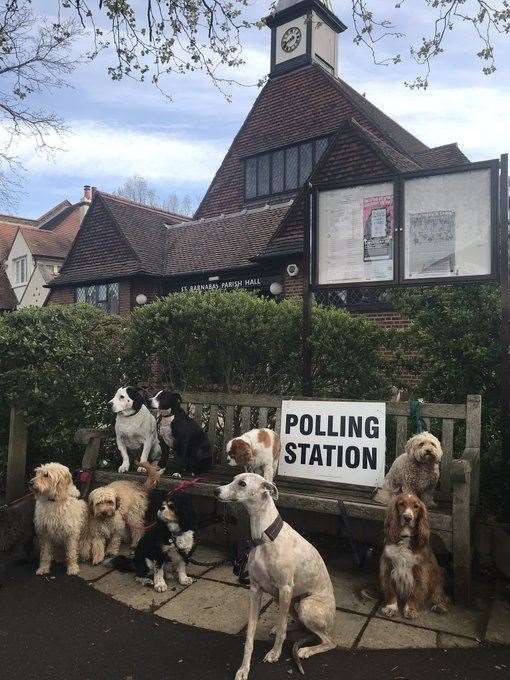 There was no shortage of patient dogs outside a polling station in Dulwich, south-east London (Anna Skipwith/@hellosocialLdn/Twitter/PA)