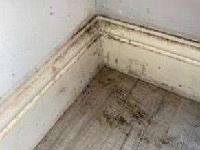 Mould has crept through the family home. Picture from Stacey Cosier