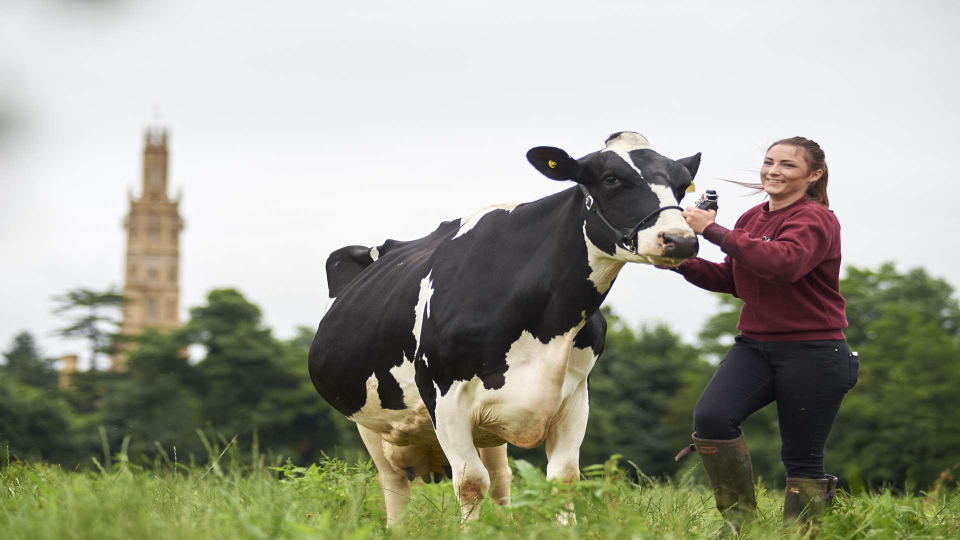 Busting the myths of being vegan. Stock image