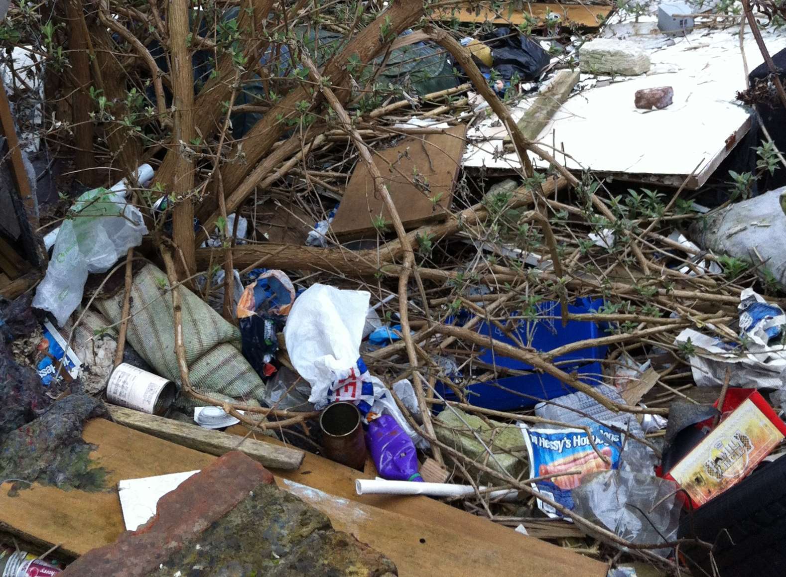 Some of the rubbish outside the property