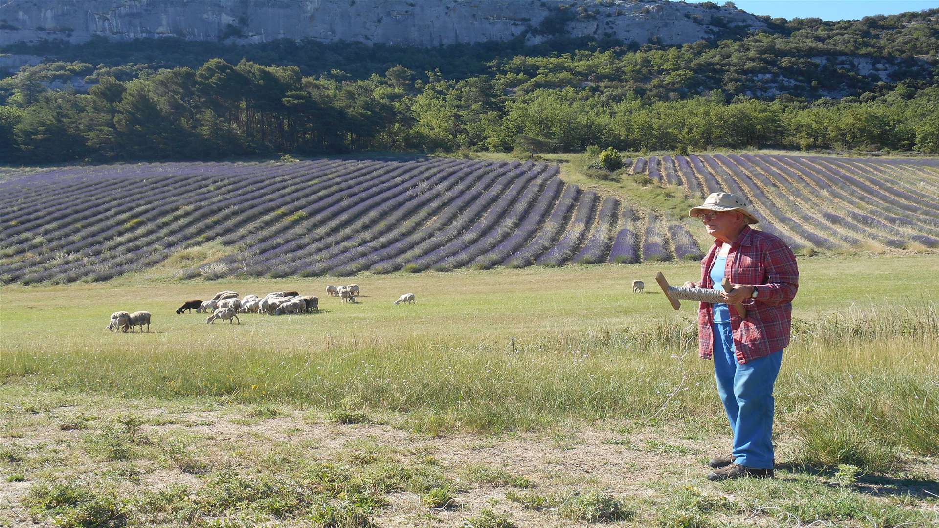 An elderly shepherd I encountered on a drive through Sault, famous for its abundance of lavender fields